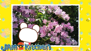 2024年6月のアニメ日記公開