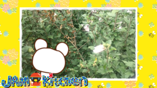 ブログの投稿2024年9月